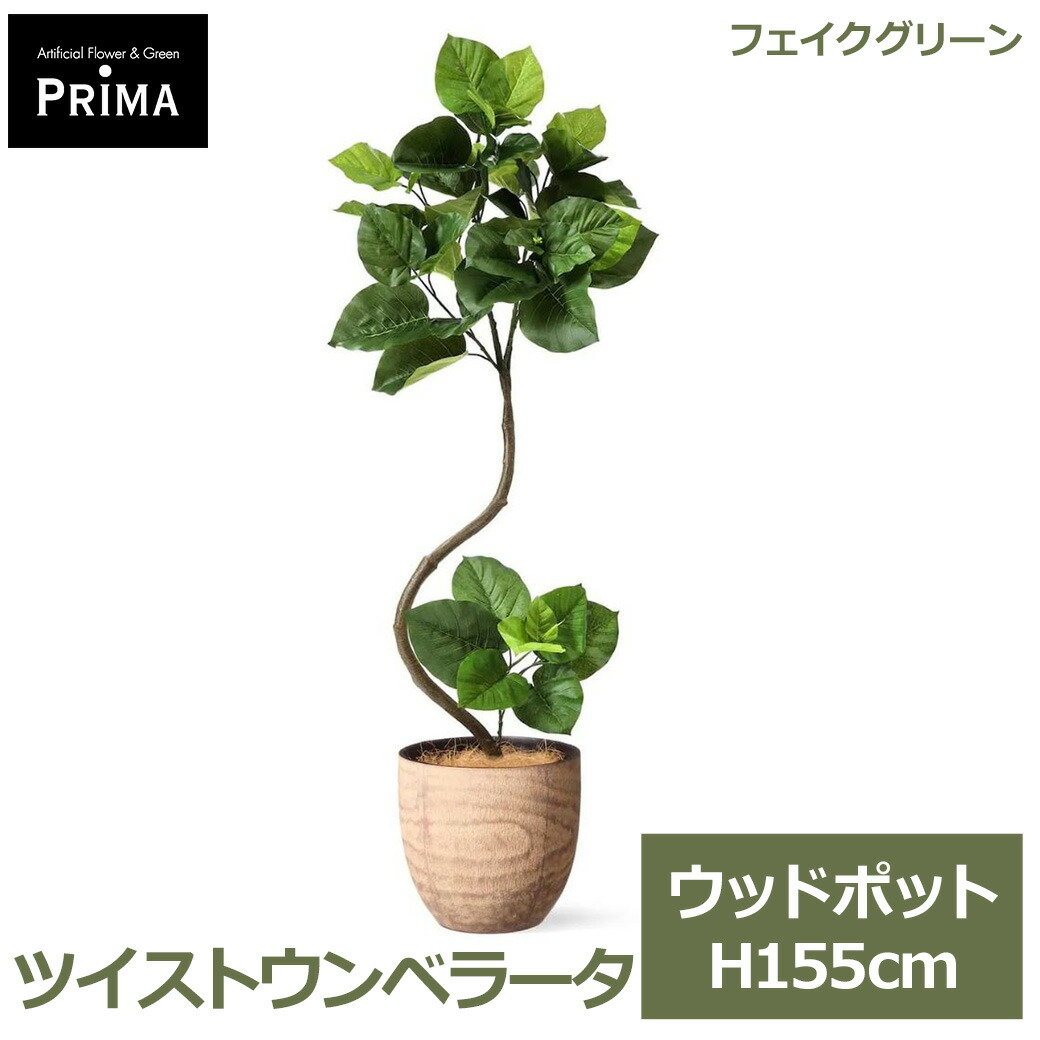 父の日特集