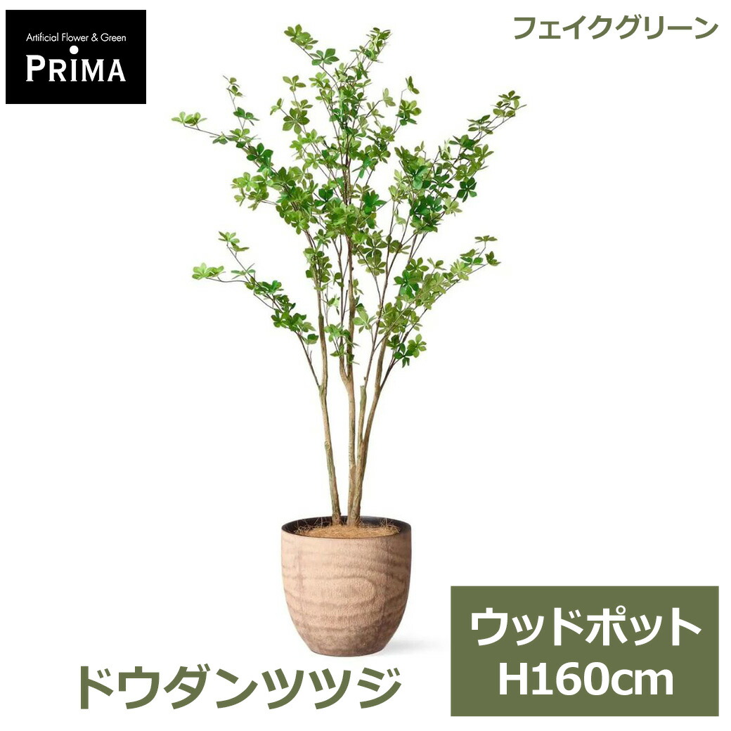 父の日特集