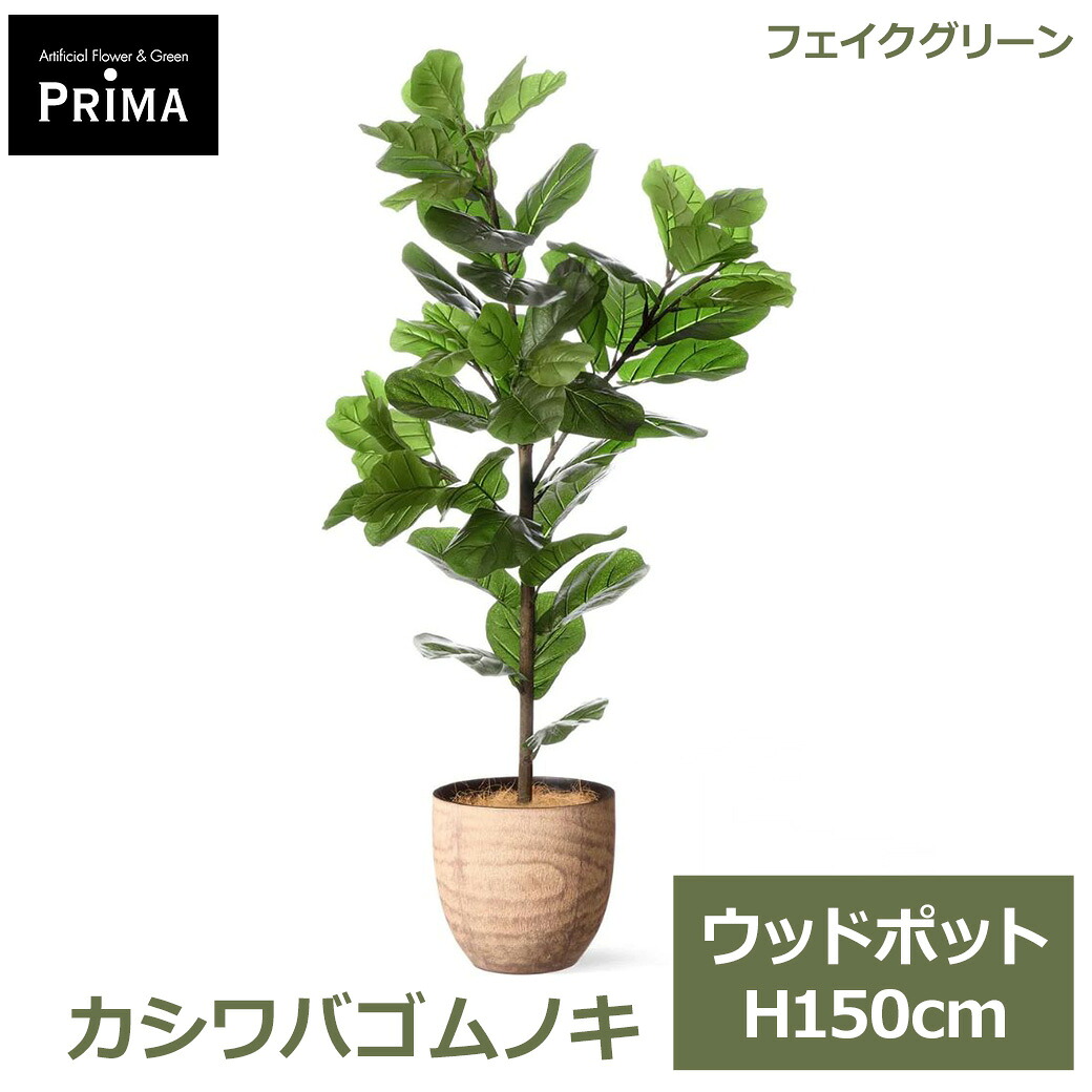 フェイクグリーン 観葉植物 人工観葉植物 造花 カシワバゴムノキ ウッドポット H150cm 植物 大型 鉢付き プランター付き 木目 フェイク PRGR-1714 GREENPARK 送料無料 人気 グリーン モダン 北欧 インテリア グリーンパーク プレゼ|viewgarden ビューガーデン