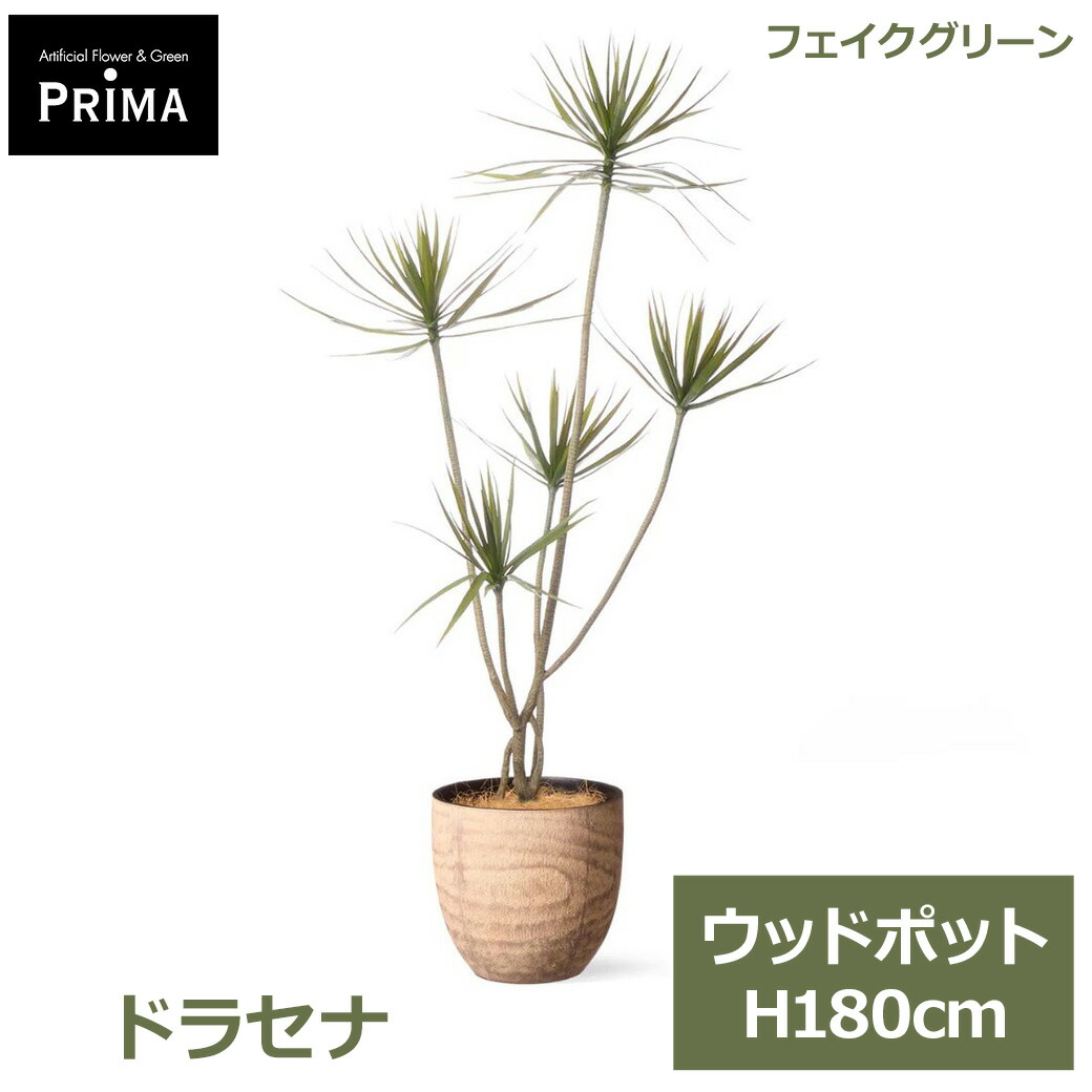 父の日特集