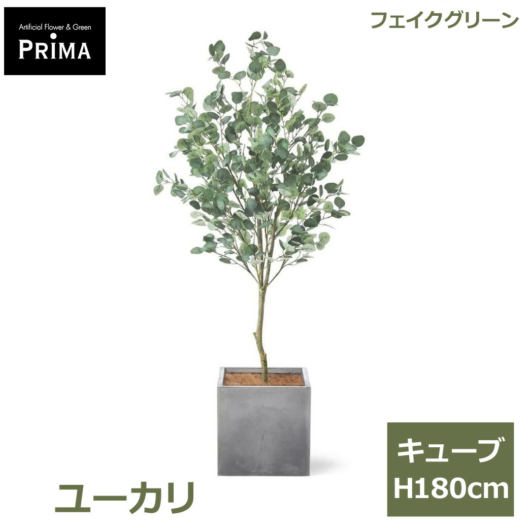 父の日特集
