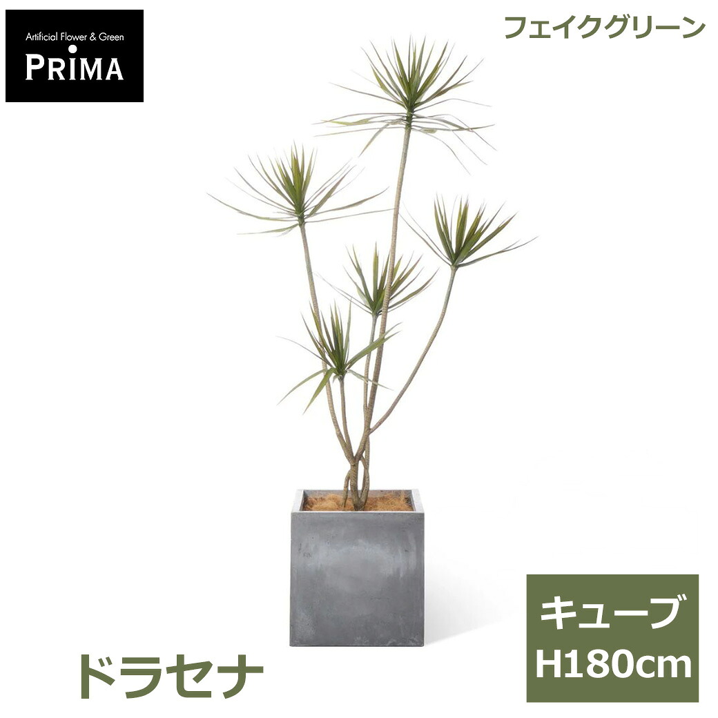 夏のおくりもの