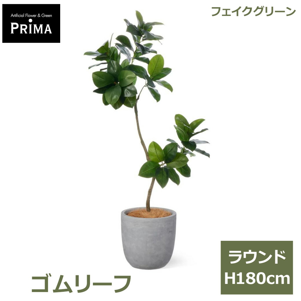 父の日特集