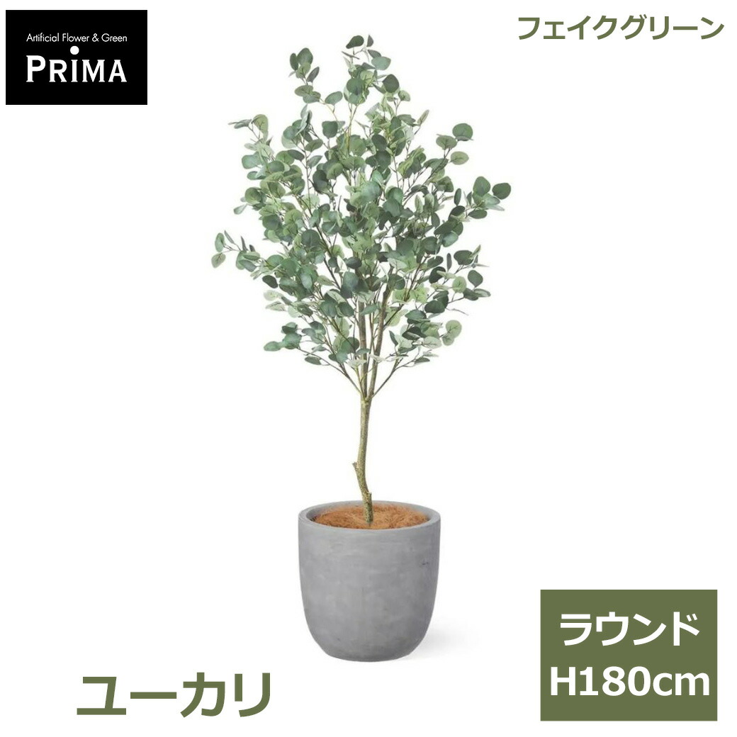 夏のおくりもの