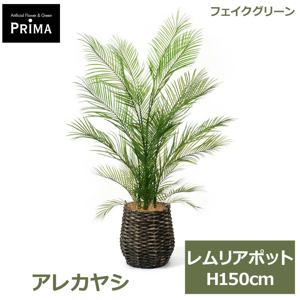 父の日特集