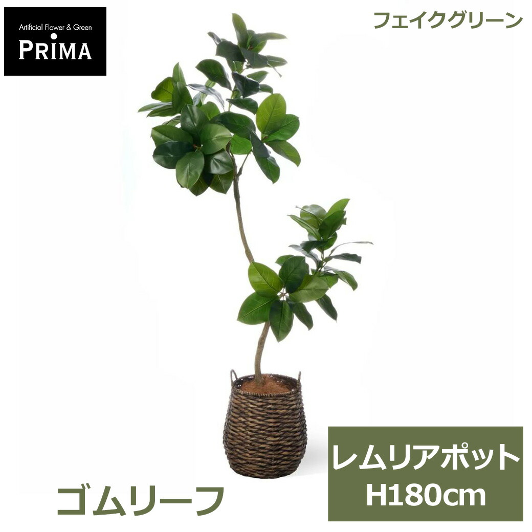父の日特集