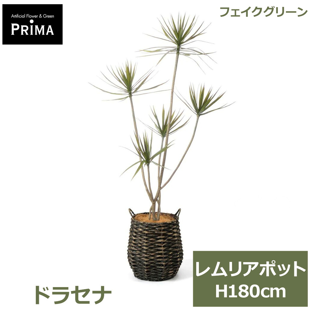父の日特集