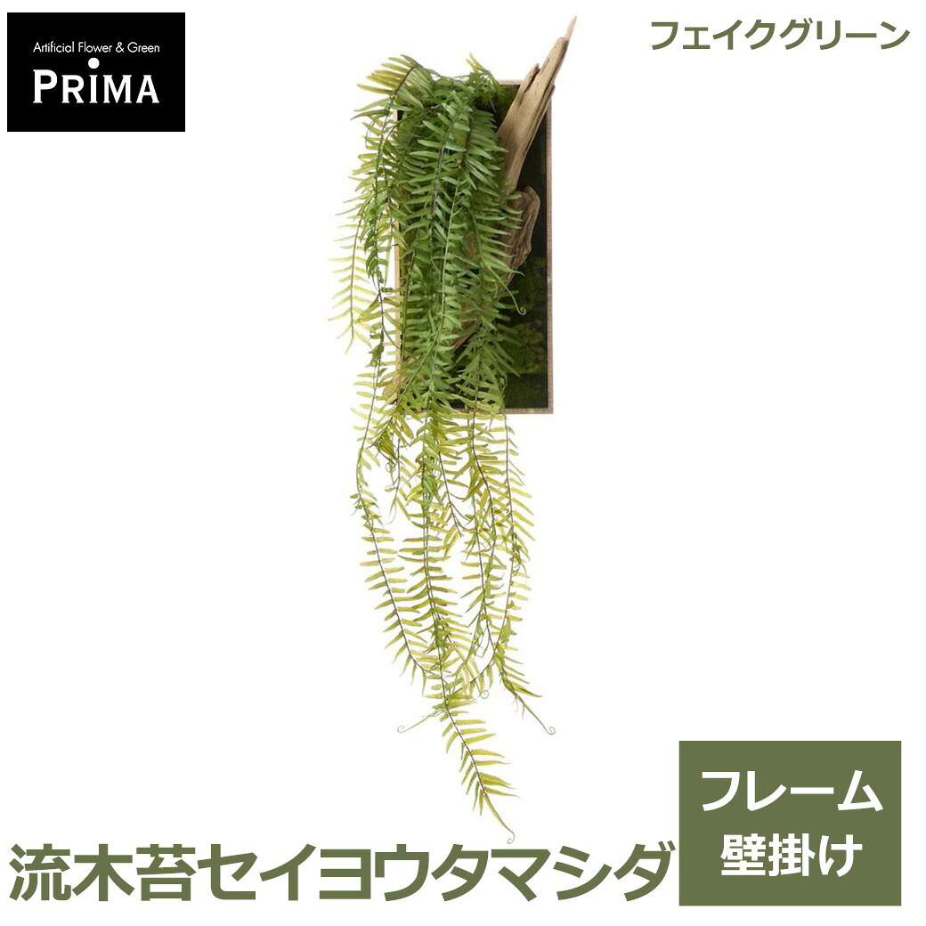 フェイクグリーン 壁掛け ウォールグリーン 壁面装飾 観葉植物 人工観葉植物 流木 苔 フレーム セイヨウタマシダ コケ 植物 造花 天然流木 PRGR-1761 GREENPARK 送料無料 アレンジ 水やり不要 アート インテリア 人気 フェイク モ｜viewgarden ビューガーデン