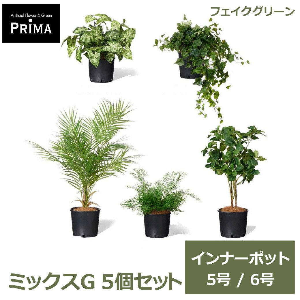 フェイクグリーン 観葉植物 人工観葉植物 アイビー カラジウム アジアンタム マグノリア アレカヤシ インナーポット 5個セット 5号 6号 PRGR-1431P GREENPARK 送料無料 植物 鉢にセットするだけ 葉 グリーン 水やり不要 人気 アレンジ インテリア アレ｜viewgarden ビューガーデン