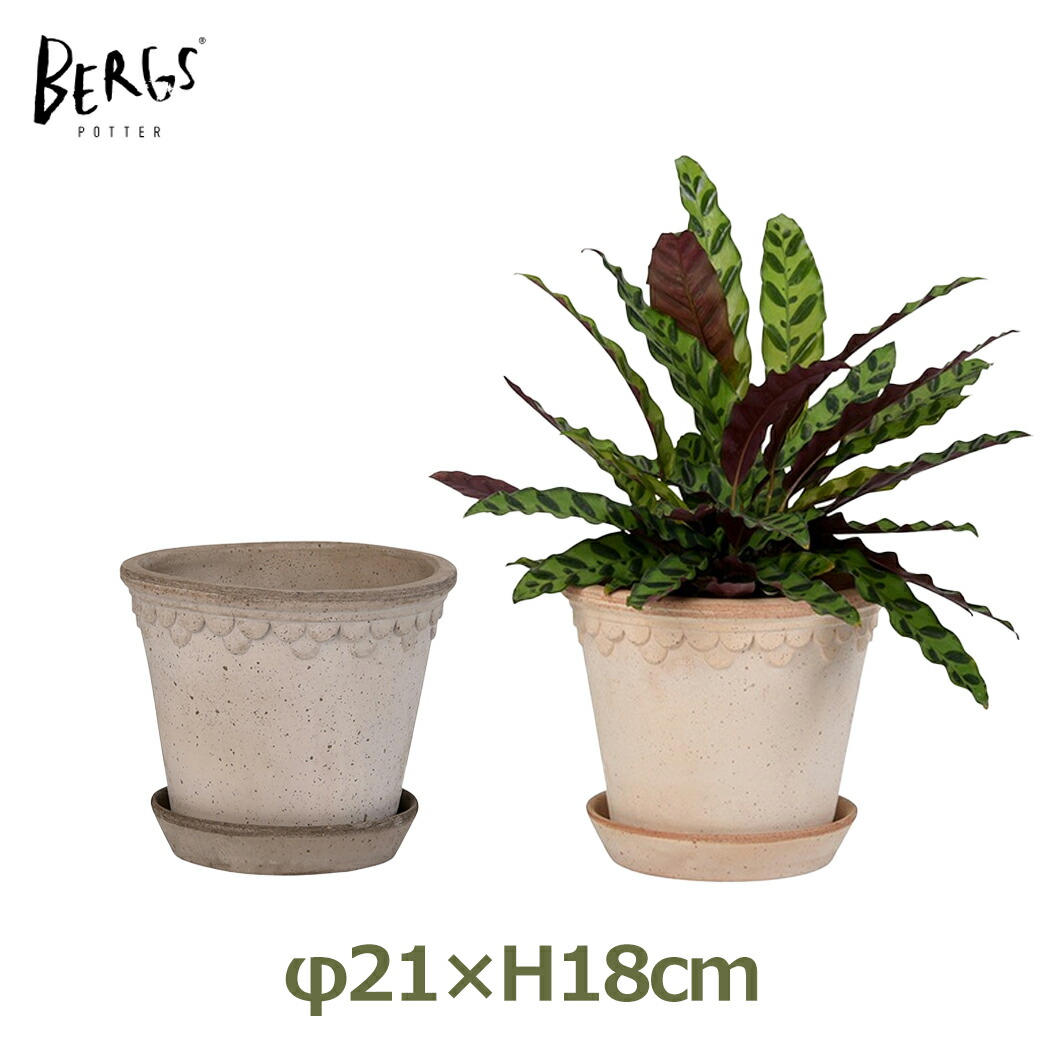 N0188 北欧 Petal Plant Pot 斑点模様 豪華 高品質 植木鉢 楽天市場】最大100%ポイントバック！※条件あり 植木鉢 3号 直径