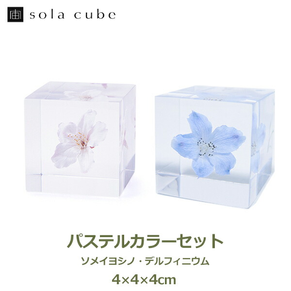 【スタンドつき】soracube 8個セット【ウサギノネドコ】【ソラキューブ】 楽天市場】最大1000円OFFクーポン&100%ポイントバック ソラキューブ