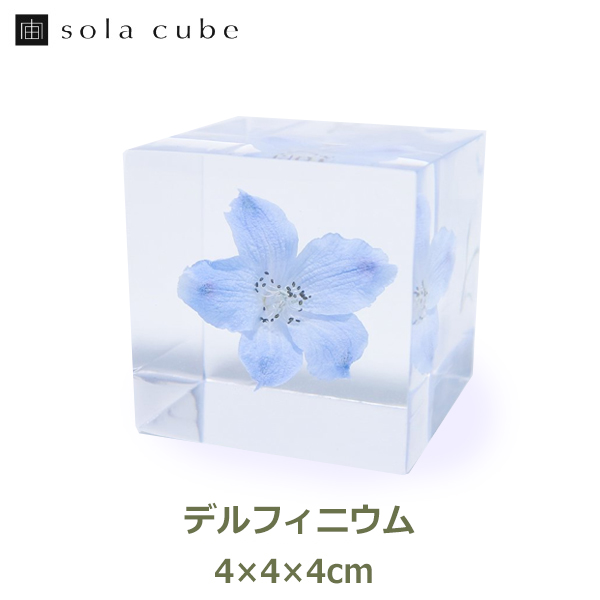 3個セット 木箱 Sola cube ソラキューブ 植物 標本 3個セット 木箱 Sola cube ソラキューブ 植物 標本 - メルカリ