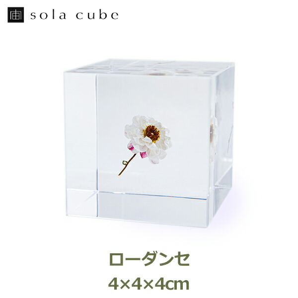 さくらさま 上柚木さくら ｜ Z/X - Zillions of enemy X - ゼクス公式サイト