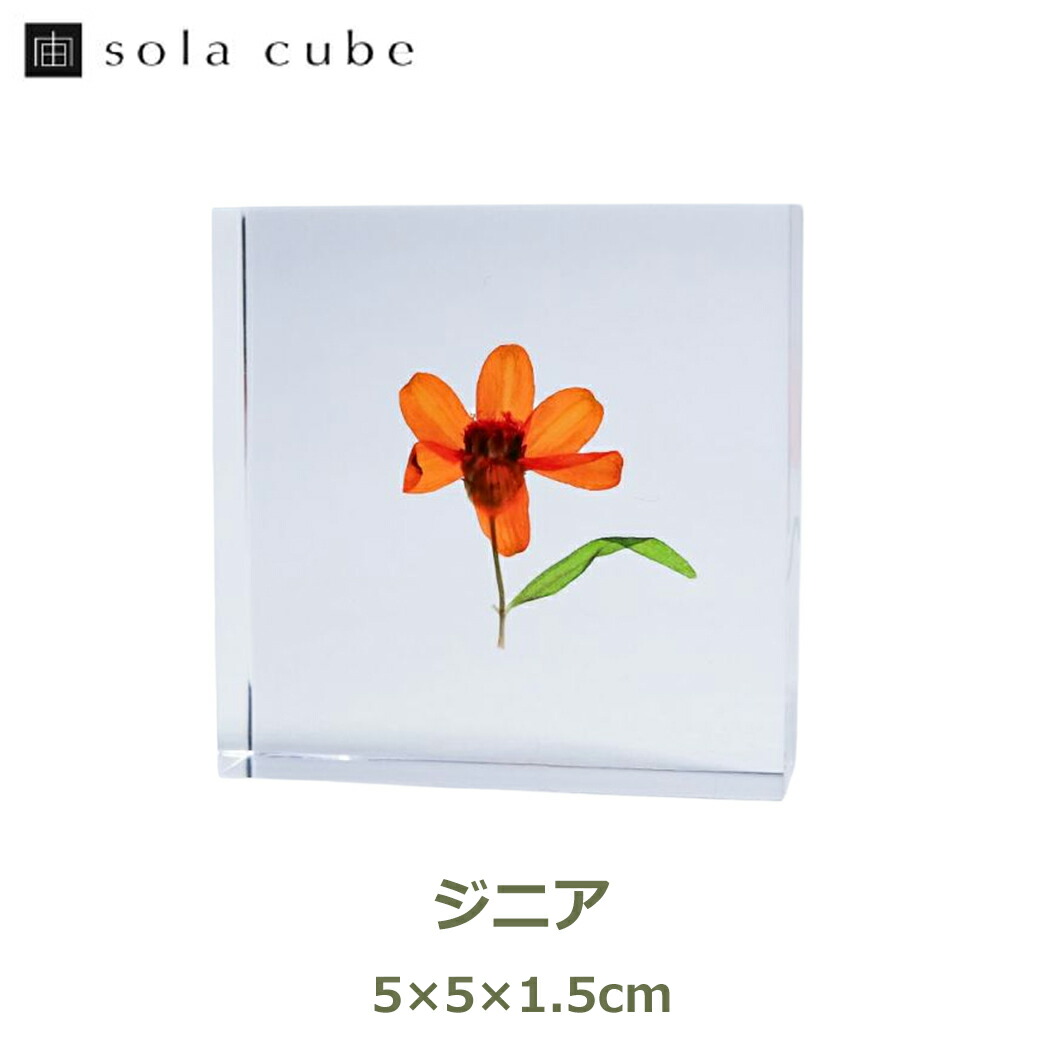 ガラス封入絵（自然植物使用） ガラス封入絵（自然植物使用）