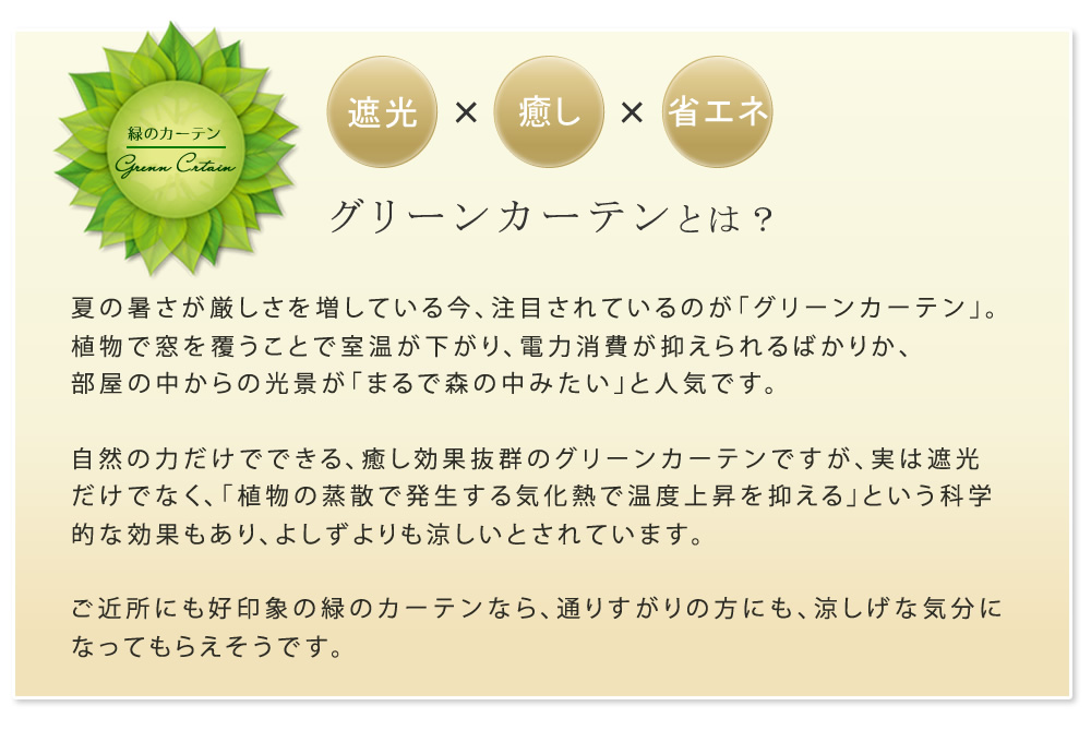 アイアン製グリーンカーテン アーガイル 2枚揃え 送料無料 格子 アイアン グリーンカーテン ゴーヤ ローズ バラ 槿花 庭先 縁 ガーデニング 型枠 駒寄せ 割り算 隠蔽 境域 アンティーク トレリス 園芸 ラティス 表 Marchesoni Com Br