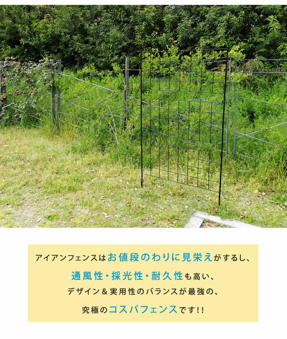 アイアンフェンス 高さ176 グラフ 2枚組 送料無料 フェンス アイアン ガーデンフェンス ガーデニング 枠 柵 仕切り 目隠し 境目 クラシカル アンティーク 格子 ベランダ つる 薔薇 バラ 朝顔 園芸 ラティス つるバラ 庭誘引 屋外 Deerfieldtwpportage Com