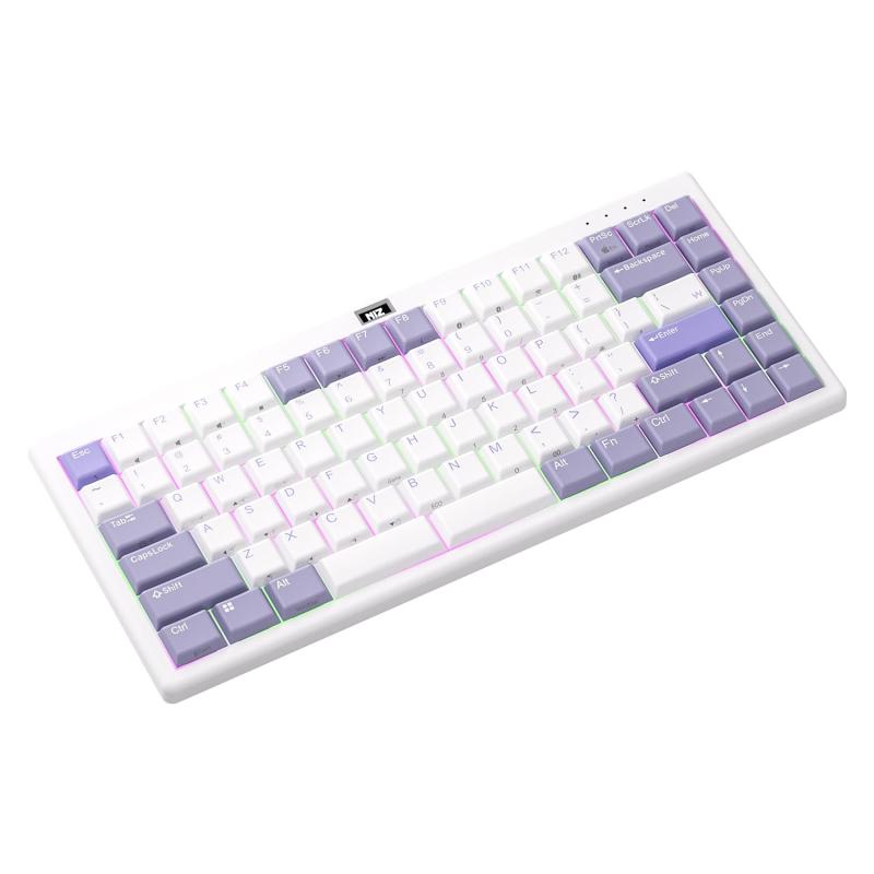 NIZ-L84-L99-P