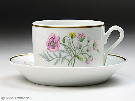 リチャード ジノリ GINORI イタリアンポア いちご柄 Amazon.co.jp