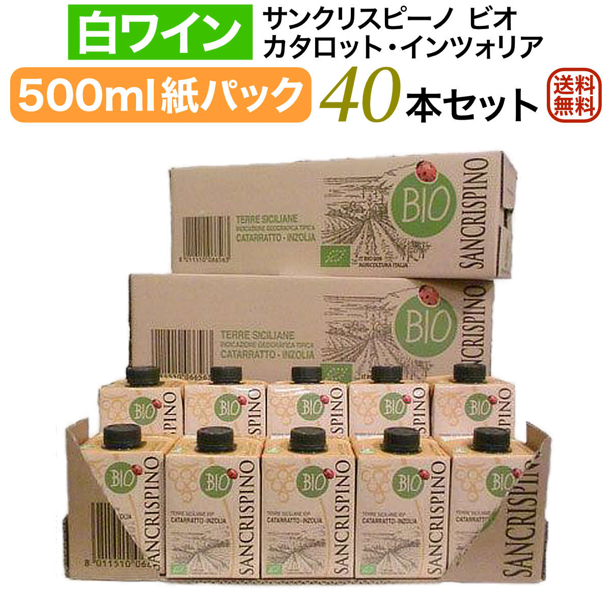 【イタリアワイン】【白ワイン】 サンクリスピーノ ビオ カタロット・インツォリア カンティーネ・ロンコ（白）40本セット 500mlパックワイン［辛口］ セットワイン