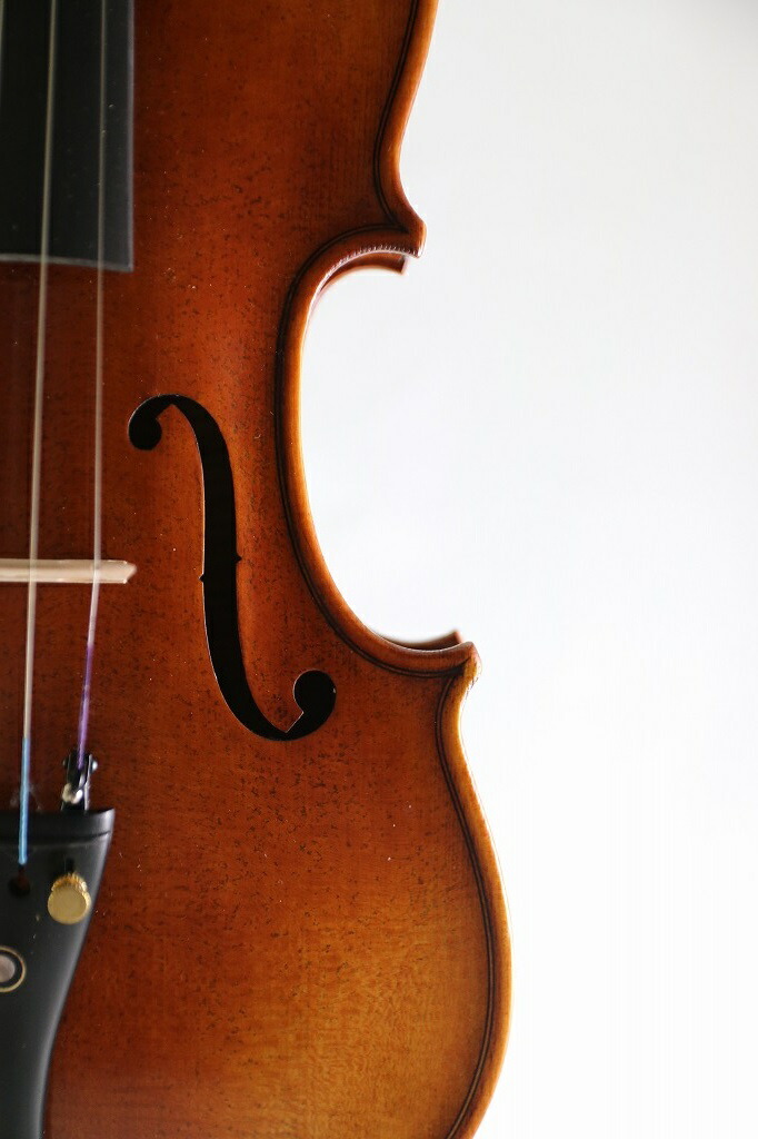 楽天市場】4/4 フルサイズ バイオリンネック バイオリンパーツ