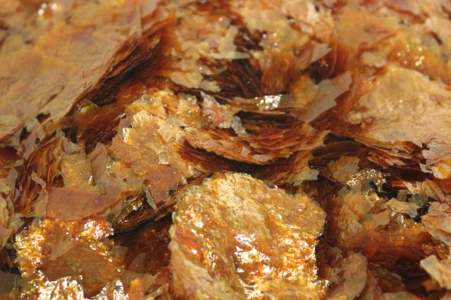 【楽天市場】シェラック Shellac 100g 天然樹脂 ニス製作：バイオリンJP