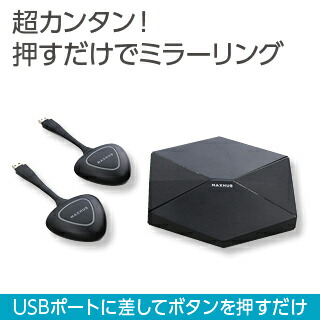 ミラーリングボックスWB01