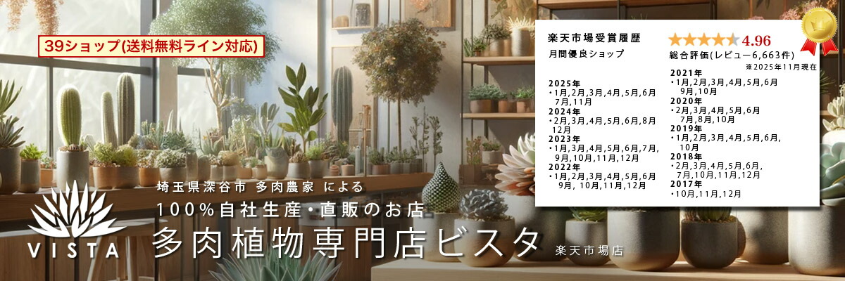 ¿����ʪ����Ź �ӥ�������̸���ë��ȯ100%����ľ�Τ�Ź��¿����ʪ����Ź�ӥ����θ������Υ�����