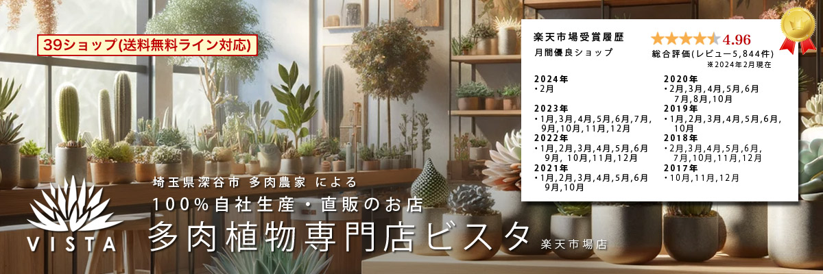 楽天市場 埼玉県深谷市発100 生産直販の店 多肉植物専門店ビスタの公式通販サイト 多肉植物専門店 ビスタ トップページ