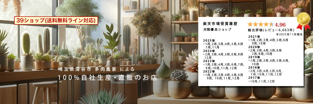 楽天市場 埼玉県深谷市発100 生産直販の店 多肉植物専門店ビスタの公式通販サイト 多肉植物専門店 ビスタ トップページ 楽天市場 埼玉県深谷市発100 生産直販の店 多肉植物専門店ビスタの公式通販サイト 多肉植物専門店 ビスタ トップページ