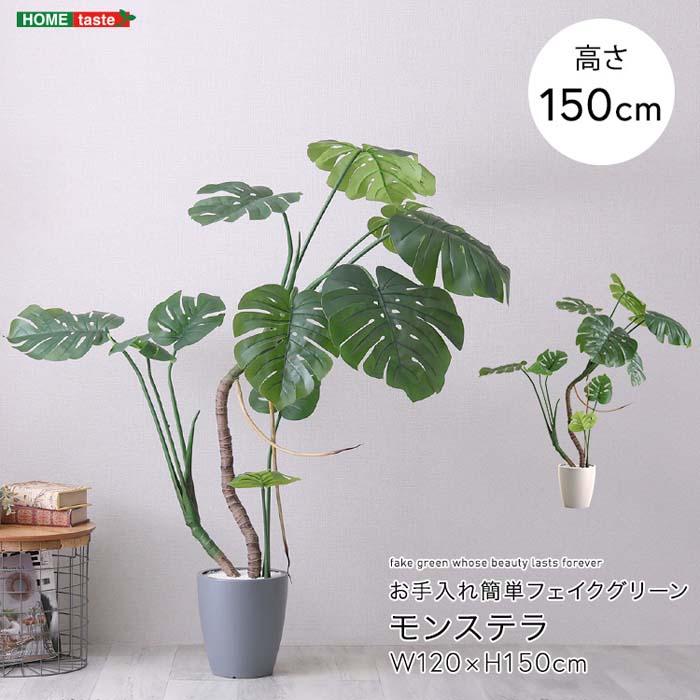 お手入れ簡単フェイクグリーン モンステラ Mサイズ(150cm)｜ビタミンバスケット