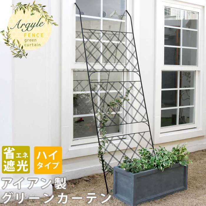 アイアン製グリーンカーテン アーガイル 送料無料 フェンス アイアン グリーンフェンス ゴーヤ 薔薇 バラ 朝顔 庭 ベランダ ガーデニング 枠 柵 仕切り 目隠し 境目 アンティーク トレリス 園芸 ラティス 屋外|ビタミンバスケット