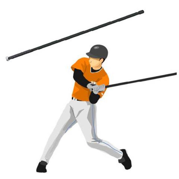 楽天市場】あす楽 シークエンスバット SEQUENCE トレーニングバット