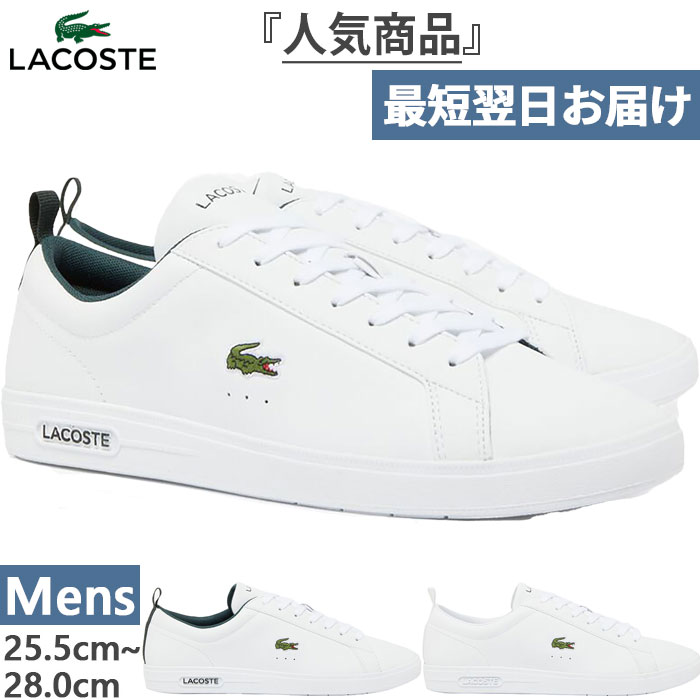 楽天市場】ラコステ レディース レロンド プロ LEROND PRO 2223 1ASIA