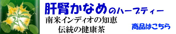 楽天市場】肝腎かなめのケブラペドラ茶 ケブ茶 モニター用 9ｇ（3ｇ入分包×3包）＊お一人様一回一個限りの特別価格です。＊ : ビタマルショップ