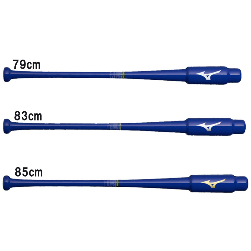 ミズノ MIZUNO 木製打撃可トレーニング PNVW 野球 トレーニング バット 練習 木製 25AW(1CJWT253)