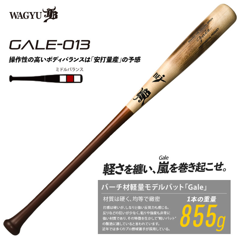 楽天市場】和牛JB バーチ材硬式木製バット (Gale) ゲイル野球