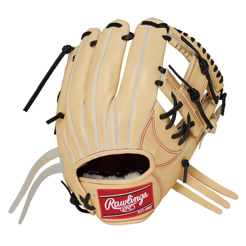 ローリングス Rawlings硬式 プロプリファード N6X CAM硬式用地球儀 グローブ 年代順の連続GH4PRN6X