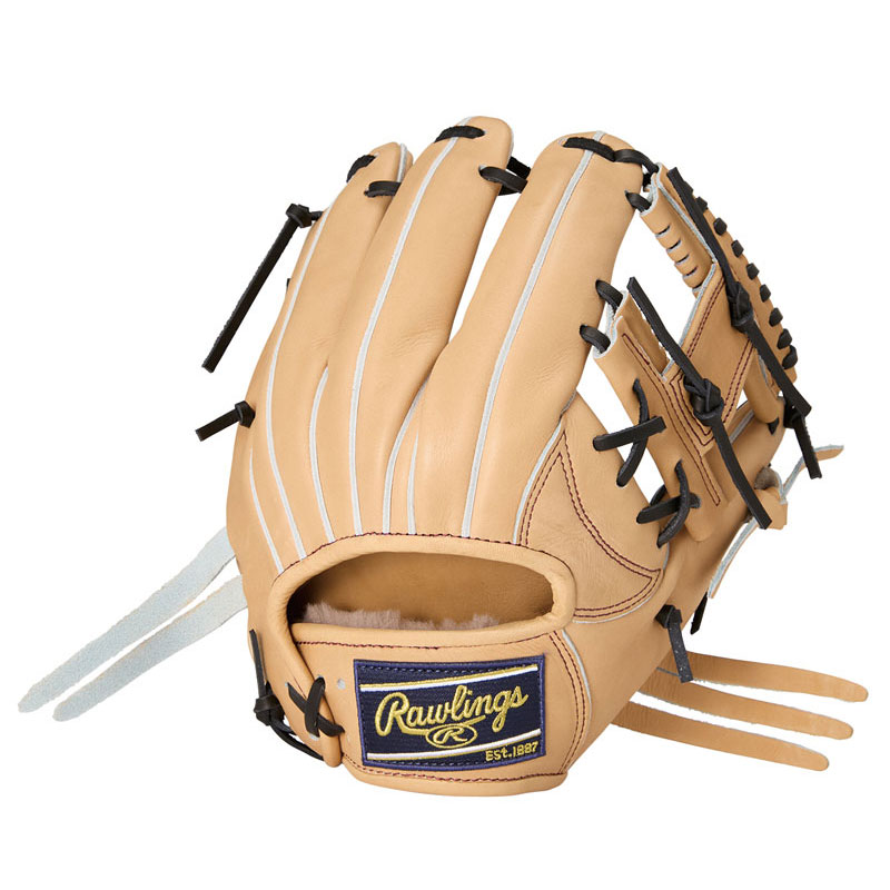 ローリングス Rawlings 硬式 HOH プレミアム N6X ACAM 硬式用グローブ グラブ 25SS GH5HPN6X