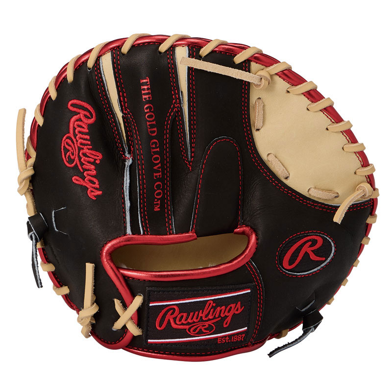 ローリングス Rawlings 硬式 ゲーマートレーニング GT2 CAM/B 硬式用グラブ グローブ 26SS GH6GT2-CAMB