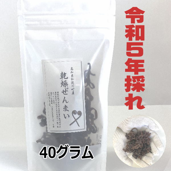 新品即決 高知県仁淀川町産R5乾燥ぜんまい！200g 食品