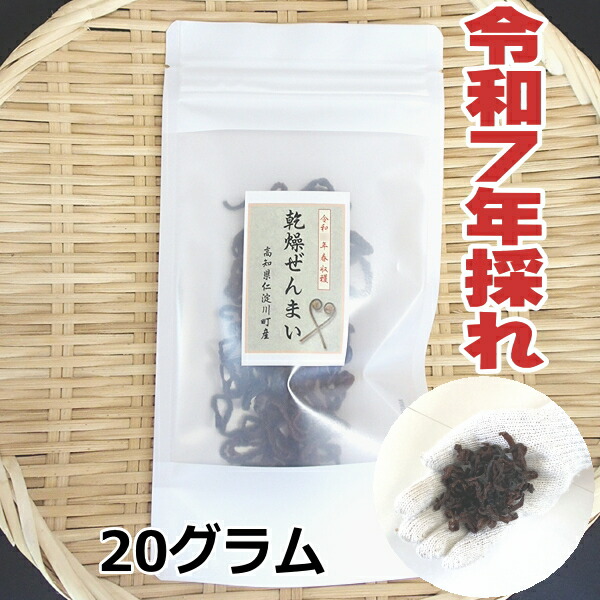 新潟県産　極上中太乾燥ぜんまい1kg ぜんまい　ゼンマイ　山菜 徳島産 肉厚乾燥ぜんまい 超極太 極上物 100g 山菜ゼンマイ 野菜