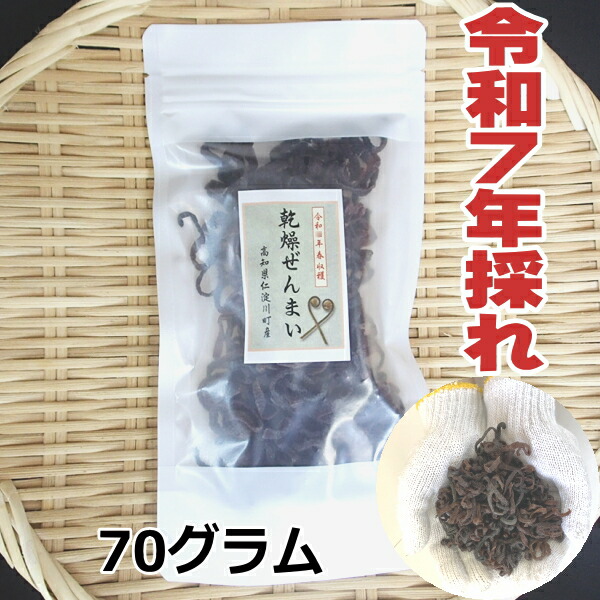 楽天市場】乾燥ぜんまい 500g 徳島県産 天日干し 乾物屋の底力
