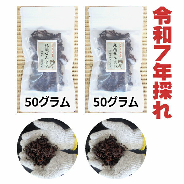 楽天市場】乾燥ぜんまい 100g 徳島県産 天日干し 乾物屋の底力