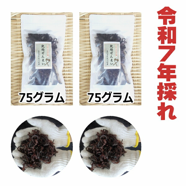 令和7年度秋田県産天然乾燥ゼンマイ400g(中太)1 秋田県産】乾燥ぜんまい（ゼンマイ）、天然ぜんまい（乾燥）