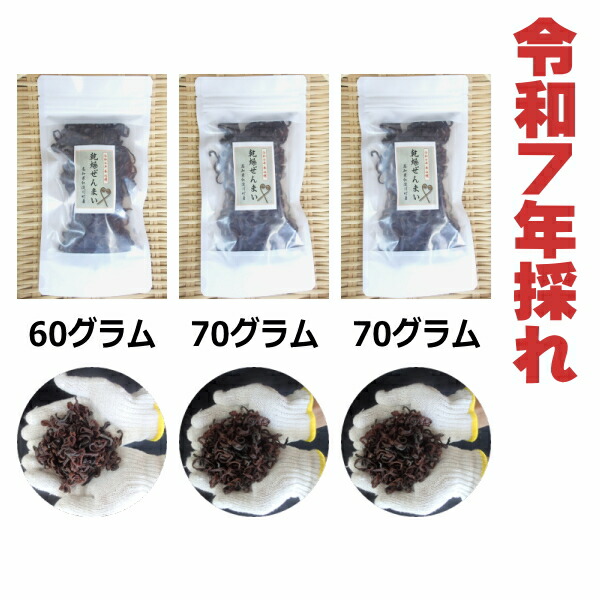 徳島産　肉厚乾燥ぜんまい　超極太 極上物　200g　山菜ゼンマイ　乾燥物　野菜 徳島産天然物 肉厚乾燥ぜんまい 超極太上物 300g 山菜ゼンマイ 乾燥