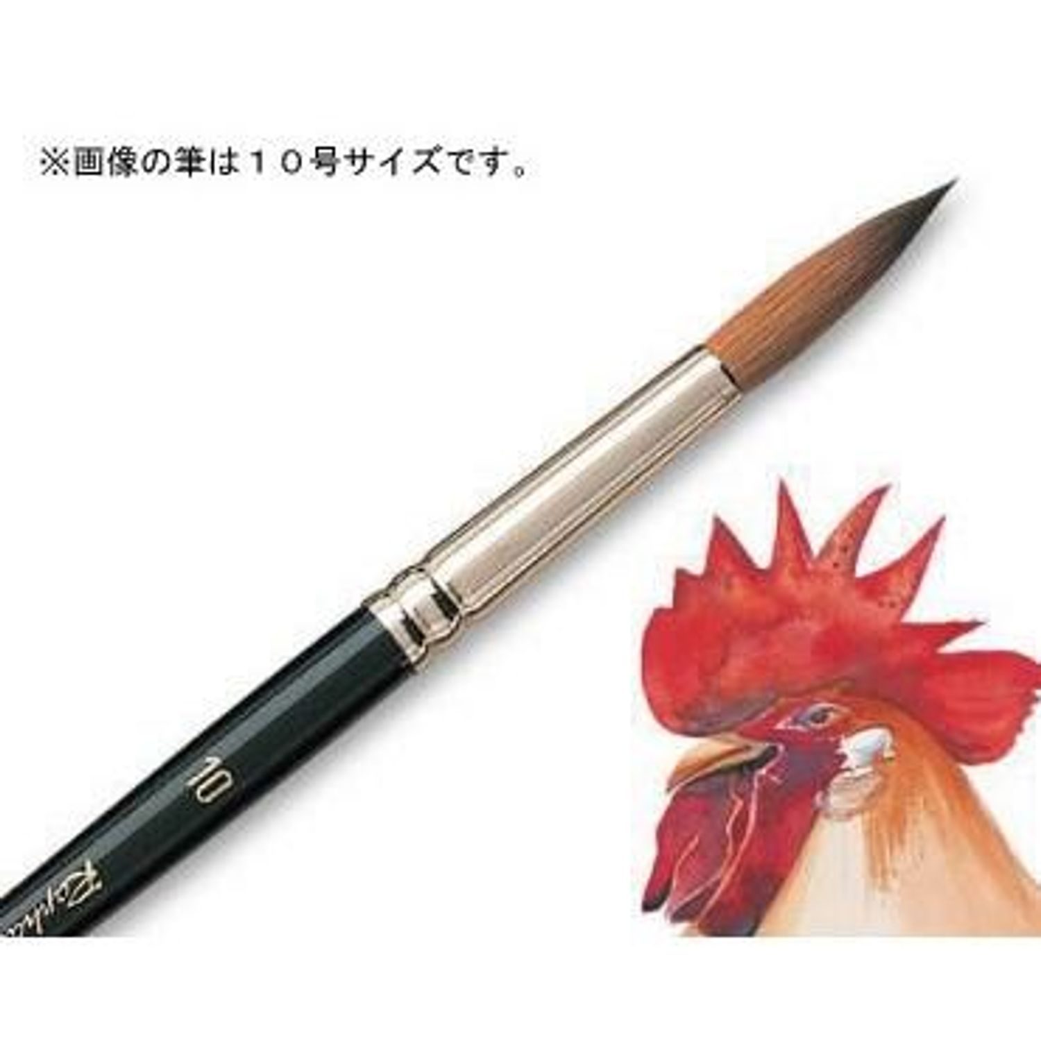 楽天市場】ラファエル水彩筆 8404 10号 コリンスキー 丸（中細