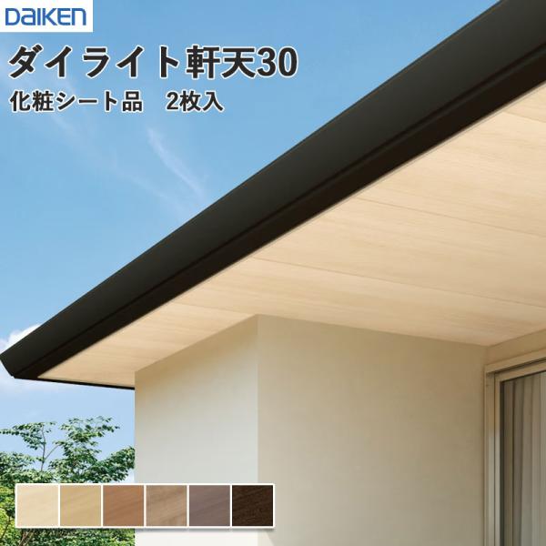 ダイケン 大建工業 DAIKEN ダイライト軒天30 EQ1305-1 かざり付ける居敷き品 2枚入 貨物輸送無料
