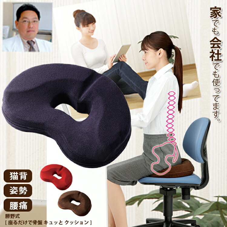 楽天市場】【1000円OFFクーポン】【医学博士監修】 vivian 公式 骨盤