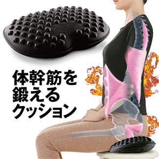 体幹 ダイエット クッション 体幹トレーニング トレーニング オフィス ダイエット器具 お腹周り エクササイズ 体幹筋 下腹 背中 ながら 驚きの価格が実現