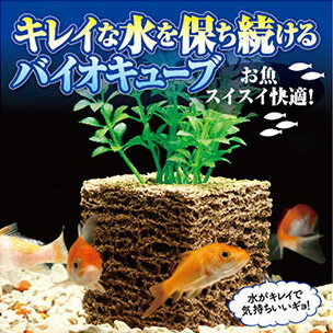 楽天市場 濾過 濾過装置 濾過フィルター 水槽 浄化生物 水換え 濾過器 水 濾過材 濾過マット 濾過機 ろ過装置 ろ過 小型 熱帯魚 インテリア 清掃 清潔 フィルター 植物 ろ材 お魚天国 バイオキューブ ヴィヴィアン ネオ